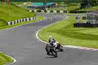 Middle Group Green Bikes